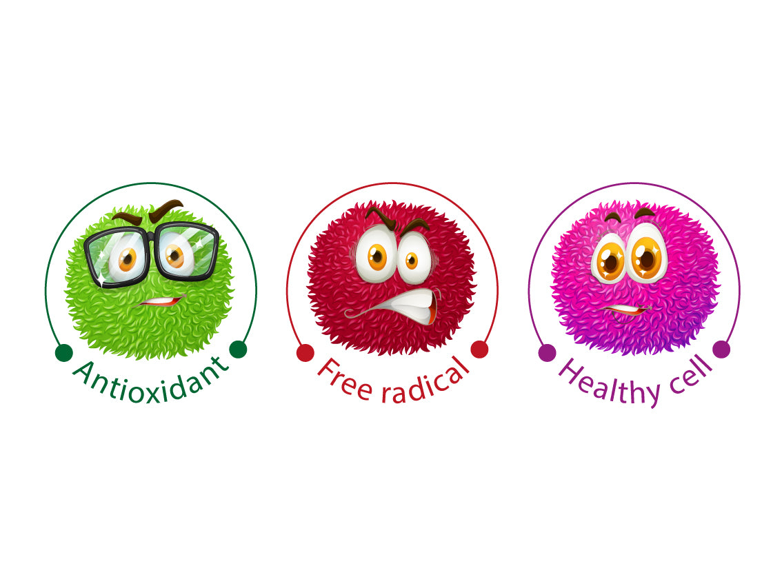 Antioxidants- PureXtracts