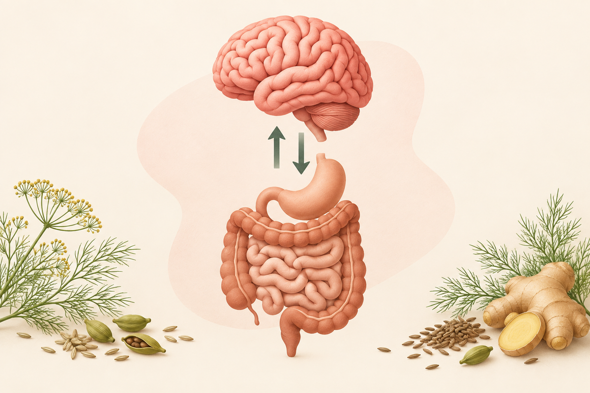 Brain and gut connected by two-way arrows, surrounded by fennel, cardamom, ginger and cumin on a cream background