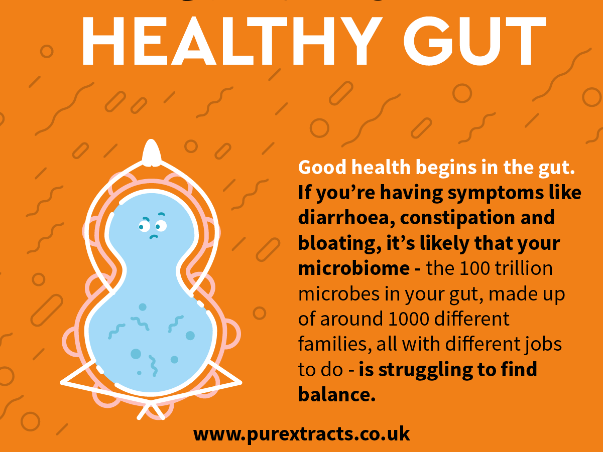 PureXtracts- Maintain a healthy guts