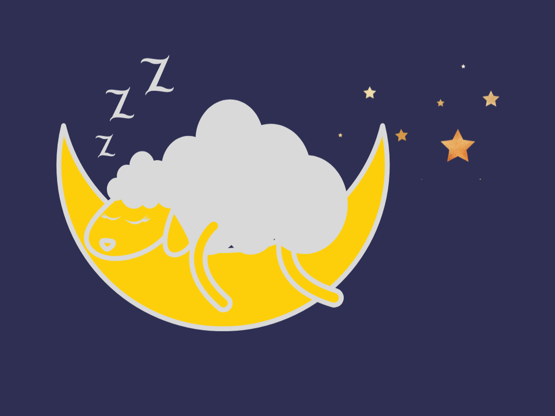 Importance of Sleep