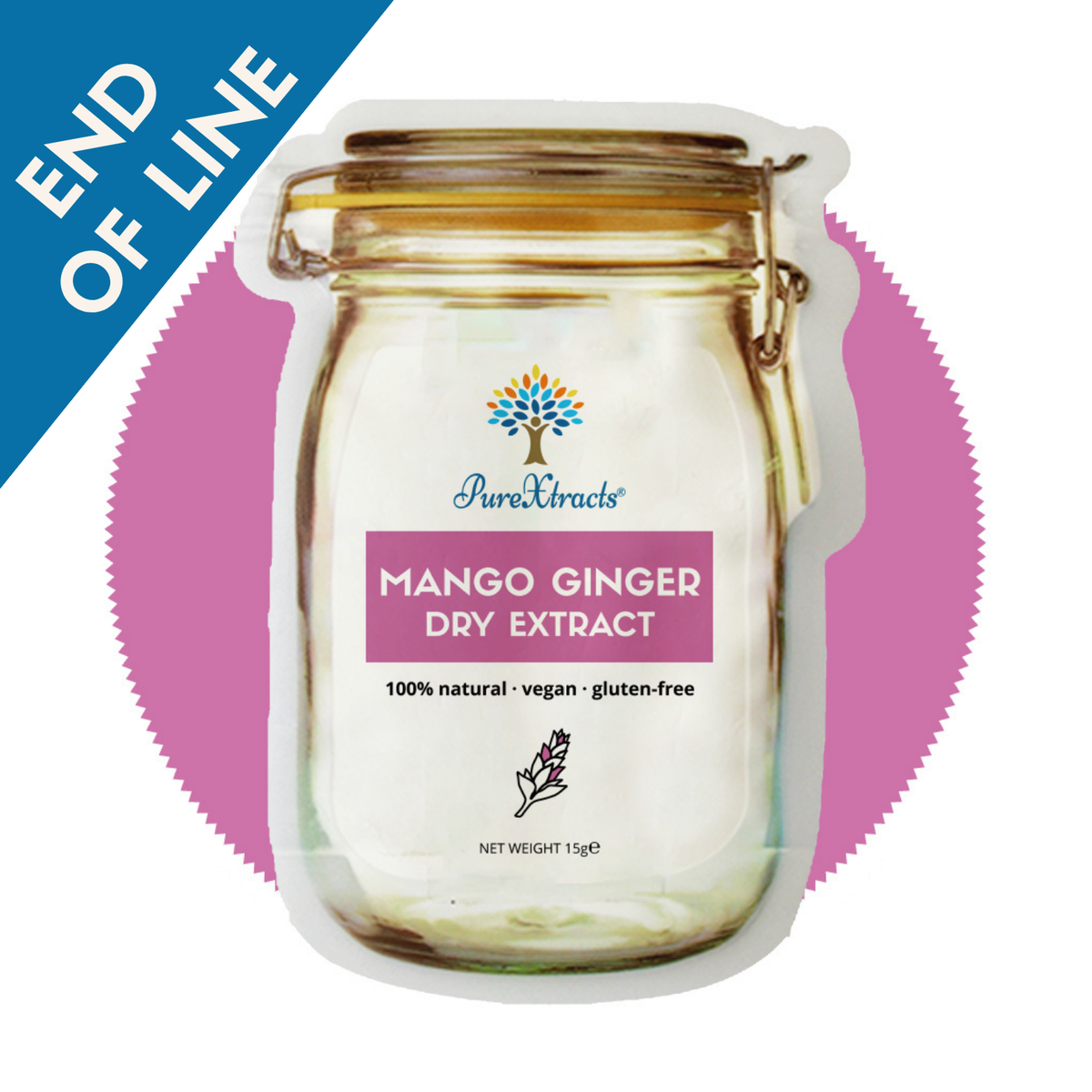 Mango Ginger Extract - PureXtracts