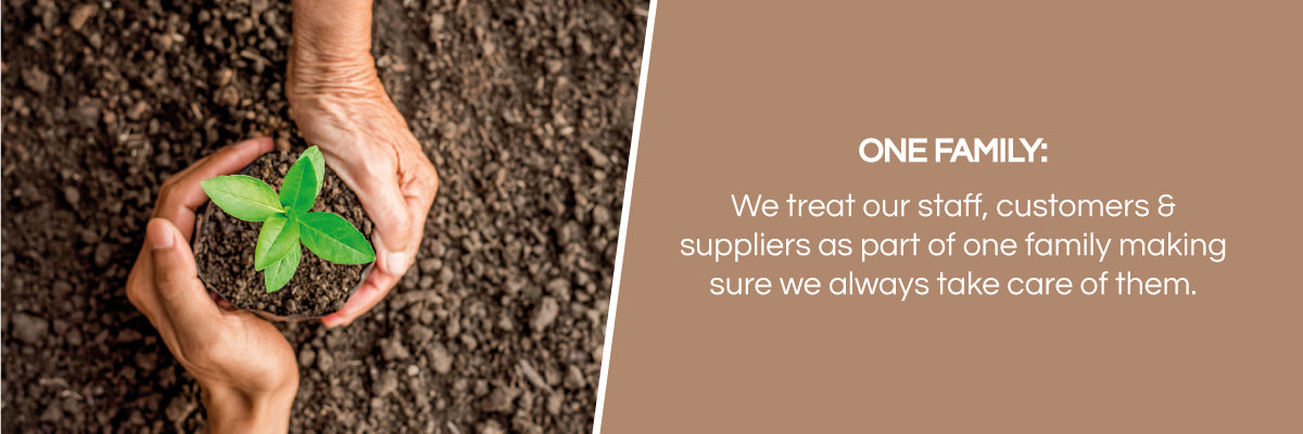 One Family - PureXtracts