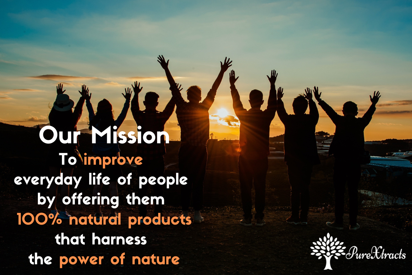 Mission statement - PureXtracts