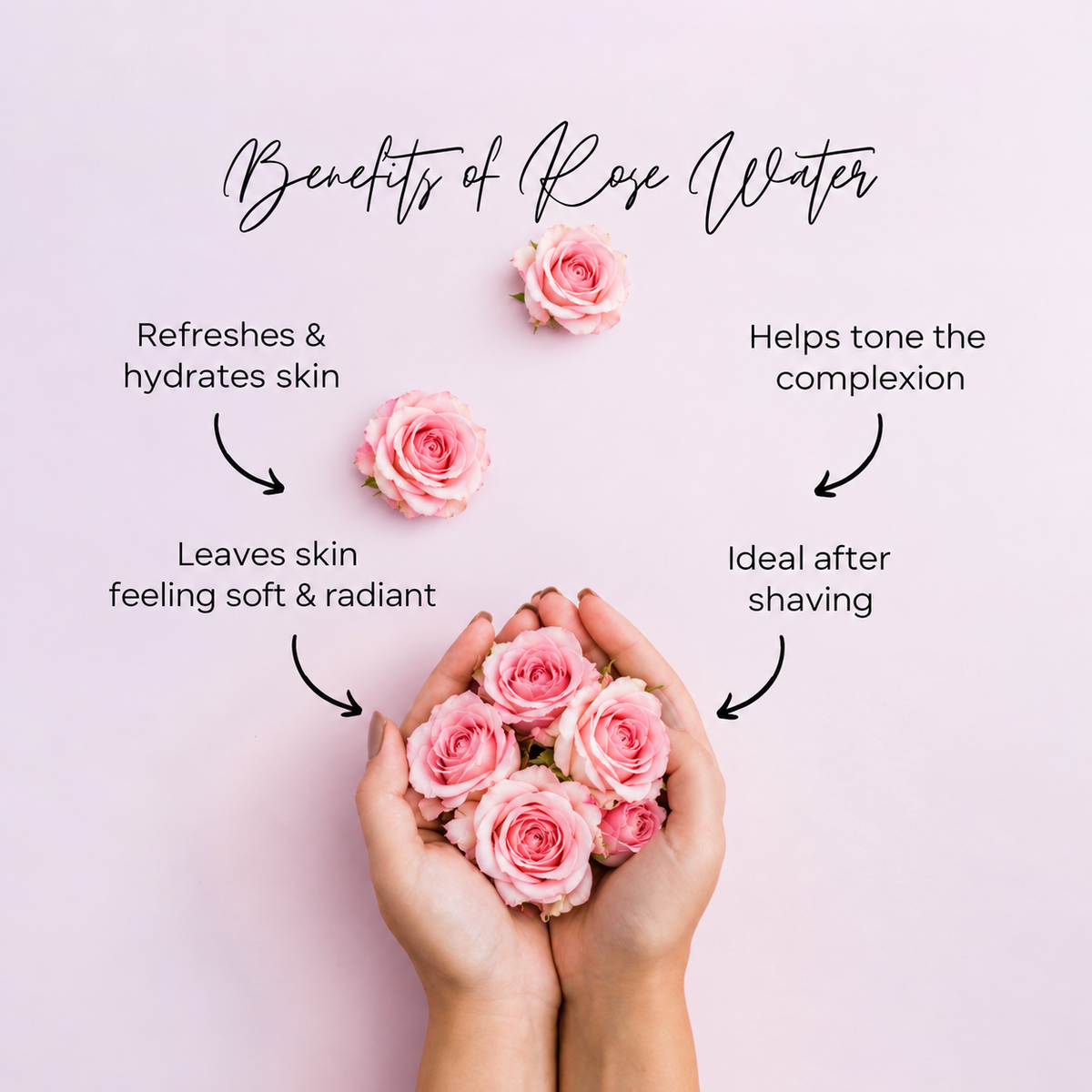 Rose Water - PureXtracts