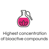 Highest concentration of bioactive compounds